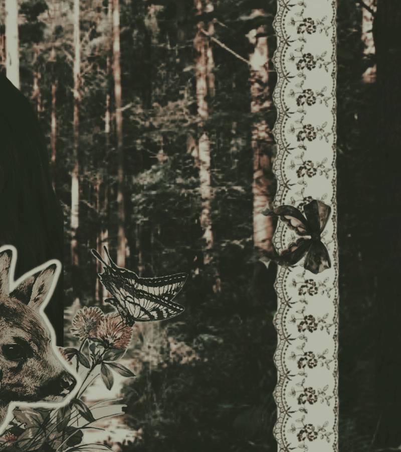 ᅠᅠ𝒪𝒄𝒆𝒂𝒏'𝒔 ᅠ╱ᅠ 𝒅𝒂𝒖𝒈𝒉𝒕𝒆𝒓 . (@pearlycr0wn) on Twitter photo 