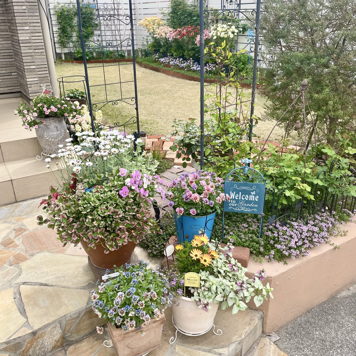 ぷいぷい tweet media