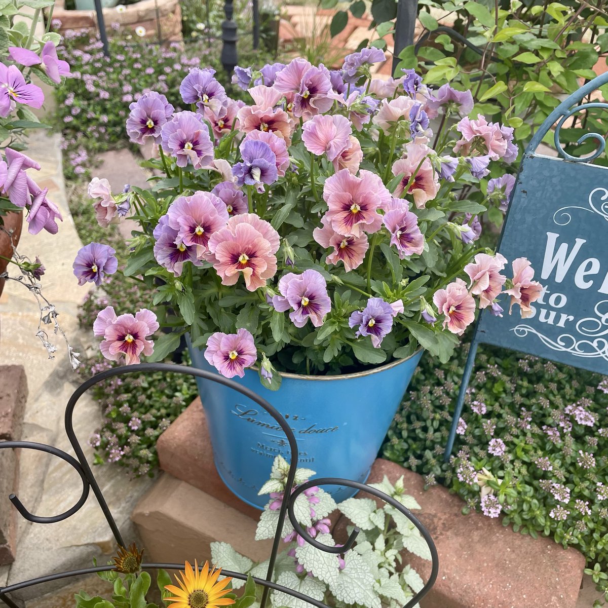 ぷいぷい tweet media