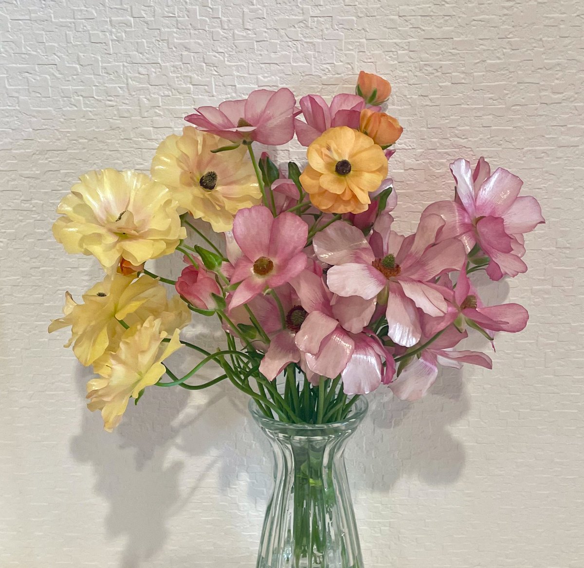 ぷいぷい tweet media