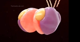 🎪 cody / tenna 🎡 #1 dr pepper fan tweet media