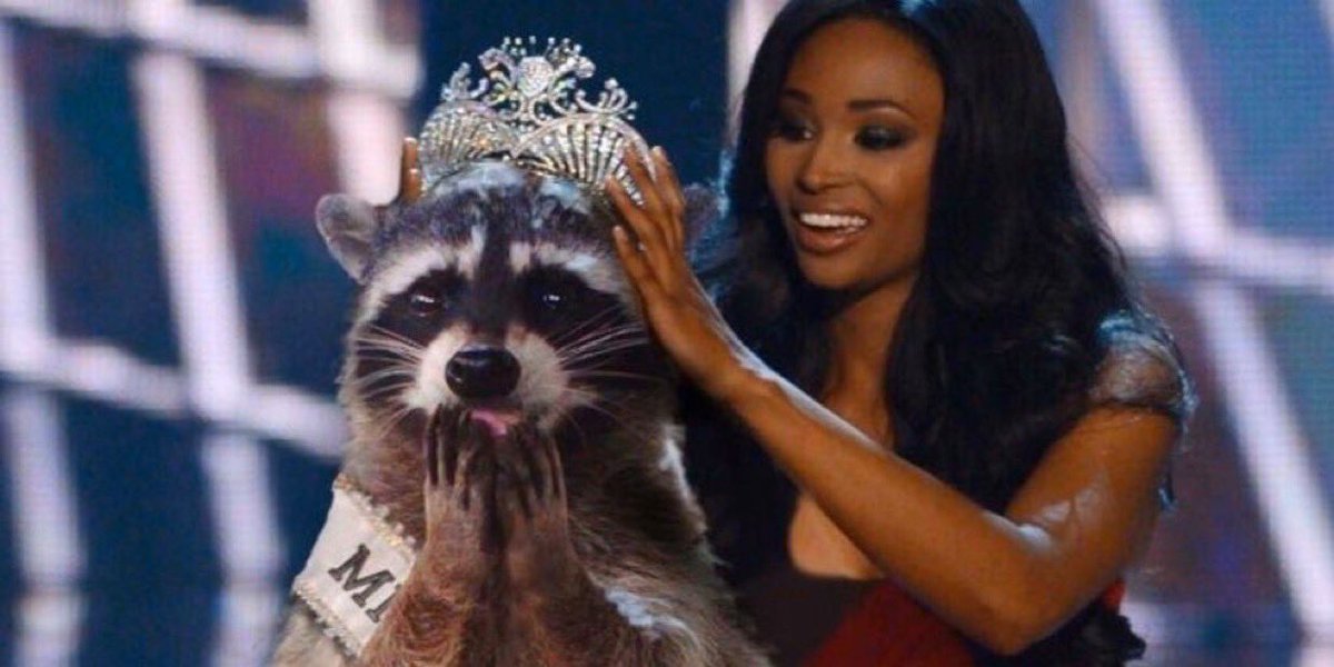 Cj Uzumaki tweet media