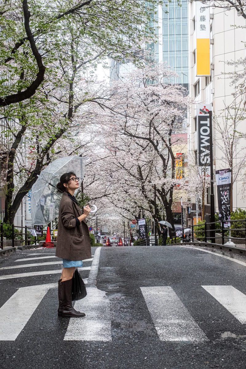 Tomonari Fukatsu tweet media