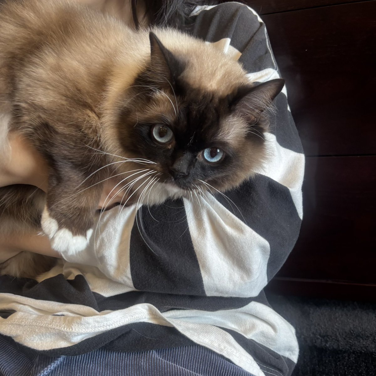 ナカヤ tweet media