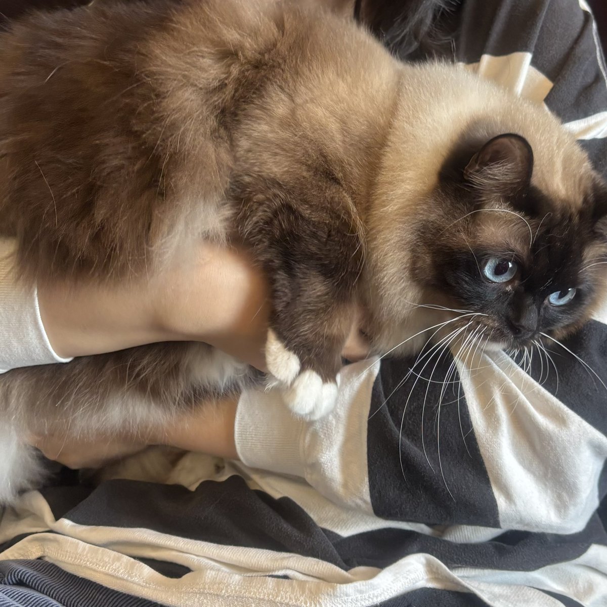 ナカヤ tweet media