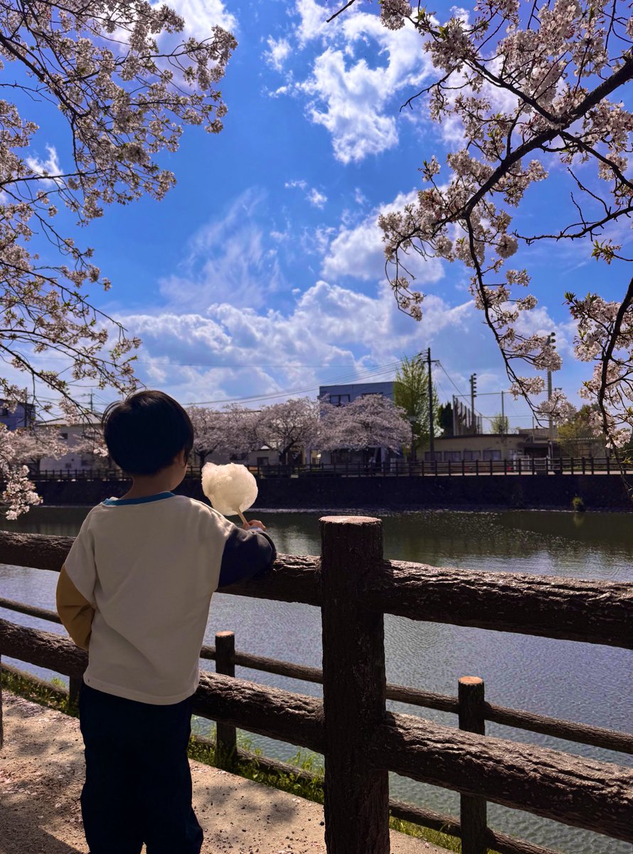 oss1955_4's tweet photo. おはようございます！もうすぐお昼ですね🥰🥰
昨日は、結局2箇所も桜を見に行っちゃいました😂🌸
入学式まで少し残ってくれてたら嬉しいなぁ、、、🌸🌸🌸

今週も元気いっぱい頑張りましょう🫡🫡 https://t.co/l1KmVztvvF