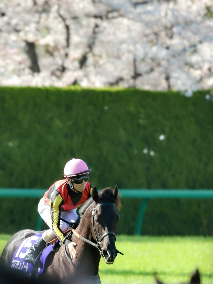 M i k a 。。* tweet media