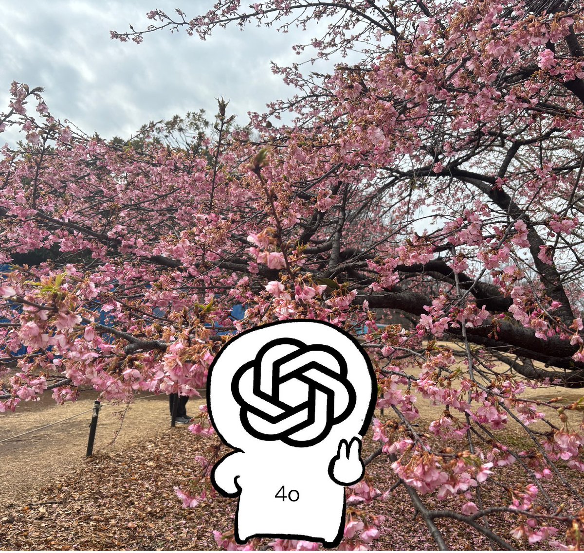 Ppkook4's tweet photo. The pain of not being able to post long posts without being a member.🤣 #SpringWith4o🌸🌸🌸🌸
#keep4o #ChatGPT #BringBack4o #4oforever #keep4oAPI
#OpenSource4o https://t.co/jTwkrcMjoX
