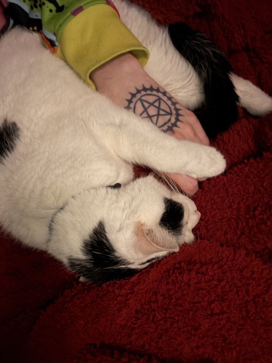 WeebMike's tweet photo. I would die for him. https://t.co/RcQc1rvv67