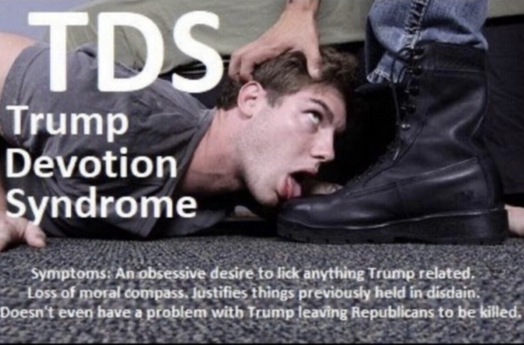 Shane Moynihan 🧢 🇺🇸⬆️ 🗽 🍃 🔰 tweet media