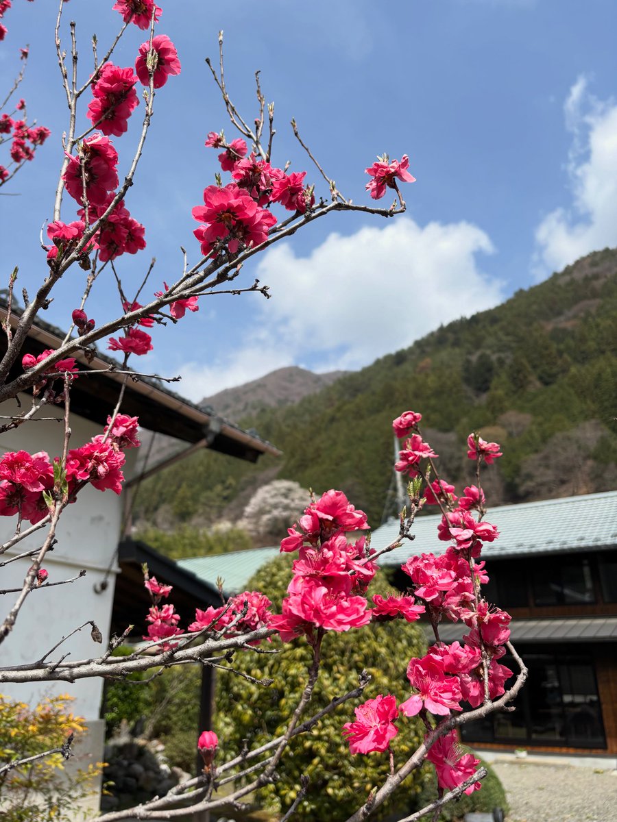 TABA CAFE tweet media