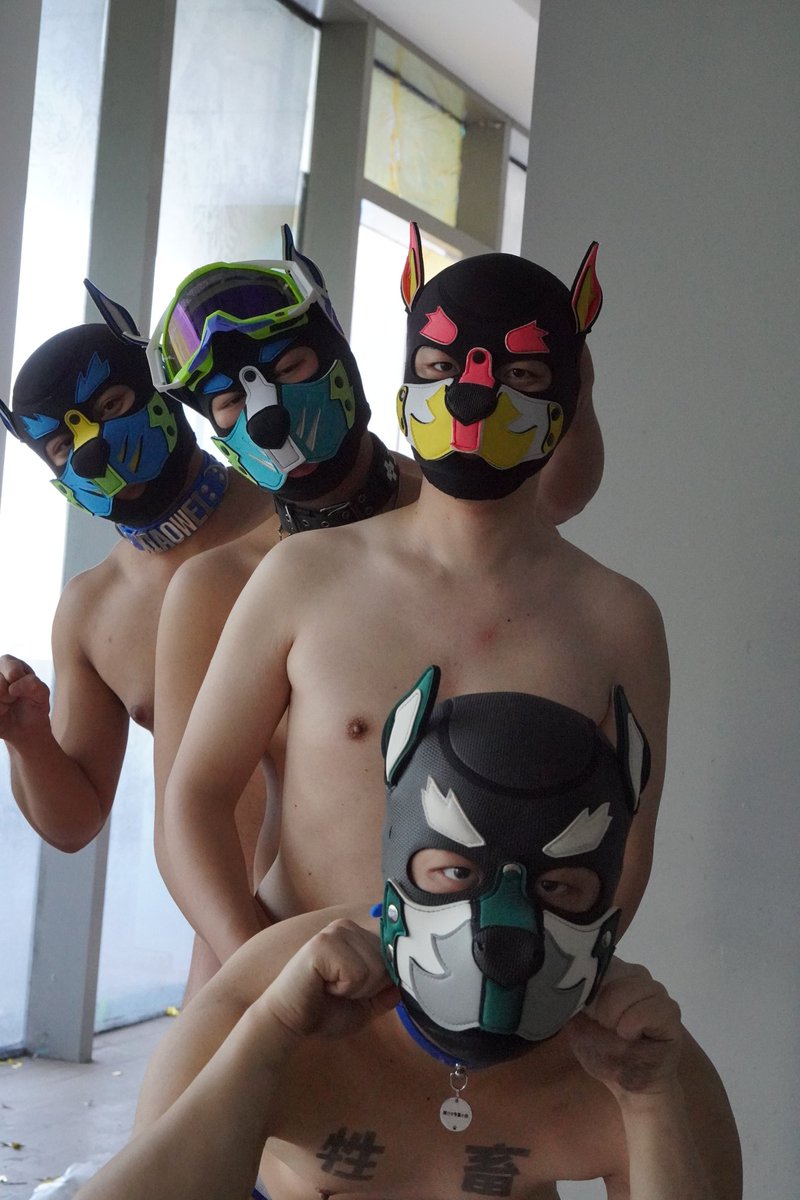 跟主人一起去废墟探险发现还有两只狗狗拉过来做点多人运动 <a href="/Puppy_Xiaowei/">Pup Xavier骁伟</a>  <a href="/ManojBeniwal97/">木村🐶</a> 
<a href="/xiaogouanuo/">小狗阿诺（Arnotto）</a> 
📷<a href="/an0ssssss/">哼唧（远安）</a> <a href="/Jiangzhi6866/">峰峰</a>  <a href="/ZhangFantaer/">睚眦必报</a>