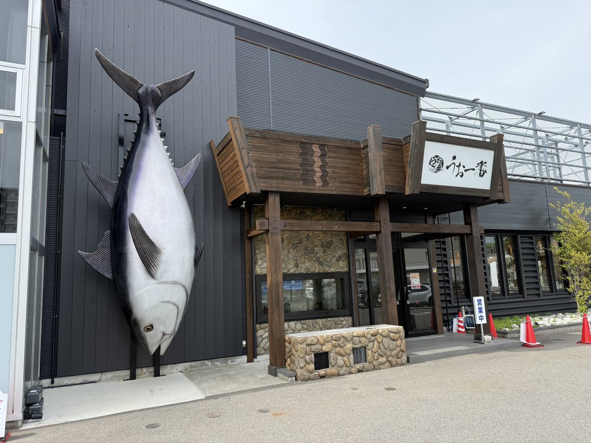 服部バウム/ででさわ tweet media