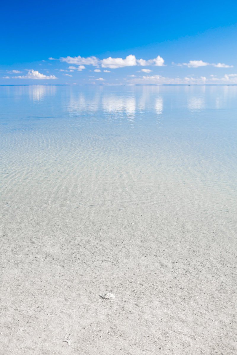 Atsushi 沖縄 Photographer tweet media