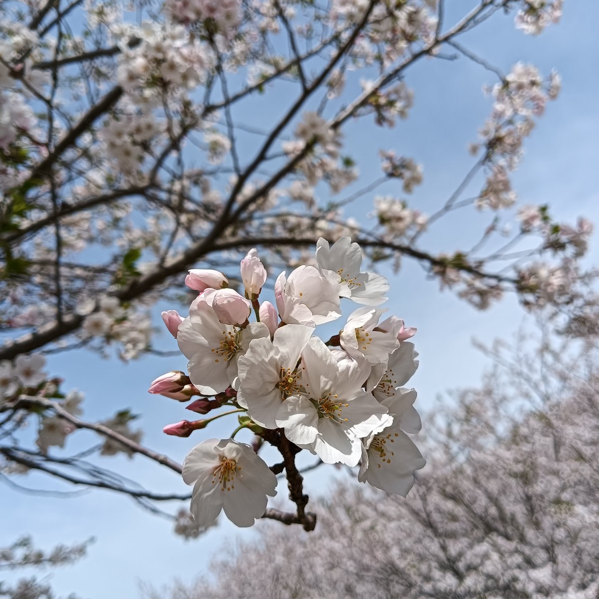 佑💙🦁🐇🍇 tweet media