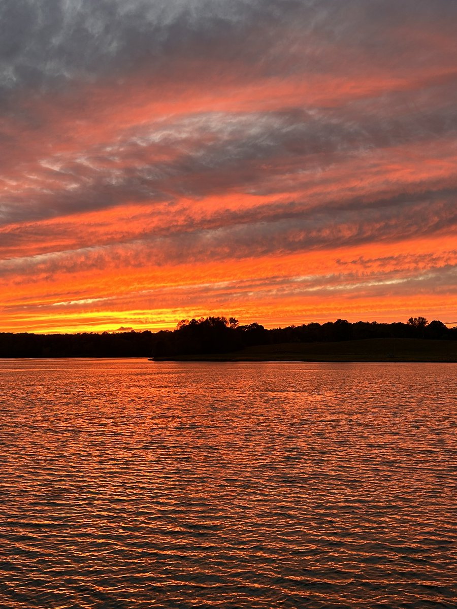 Maiv Lig Lauj tweet media