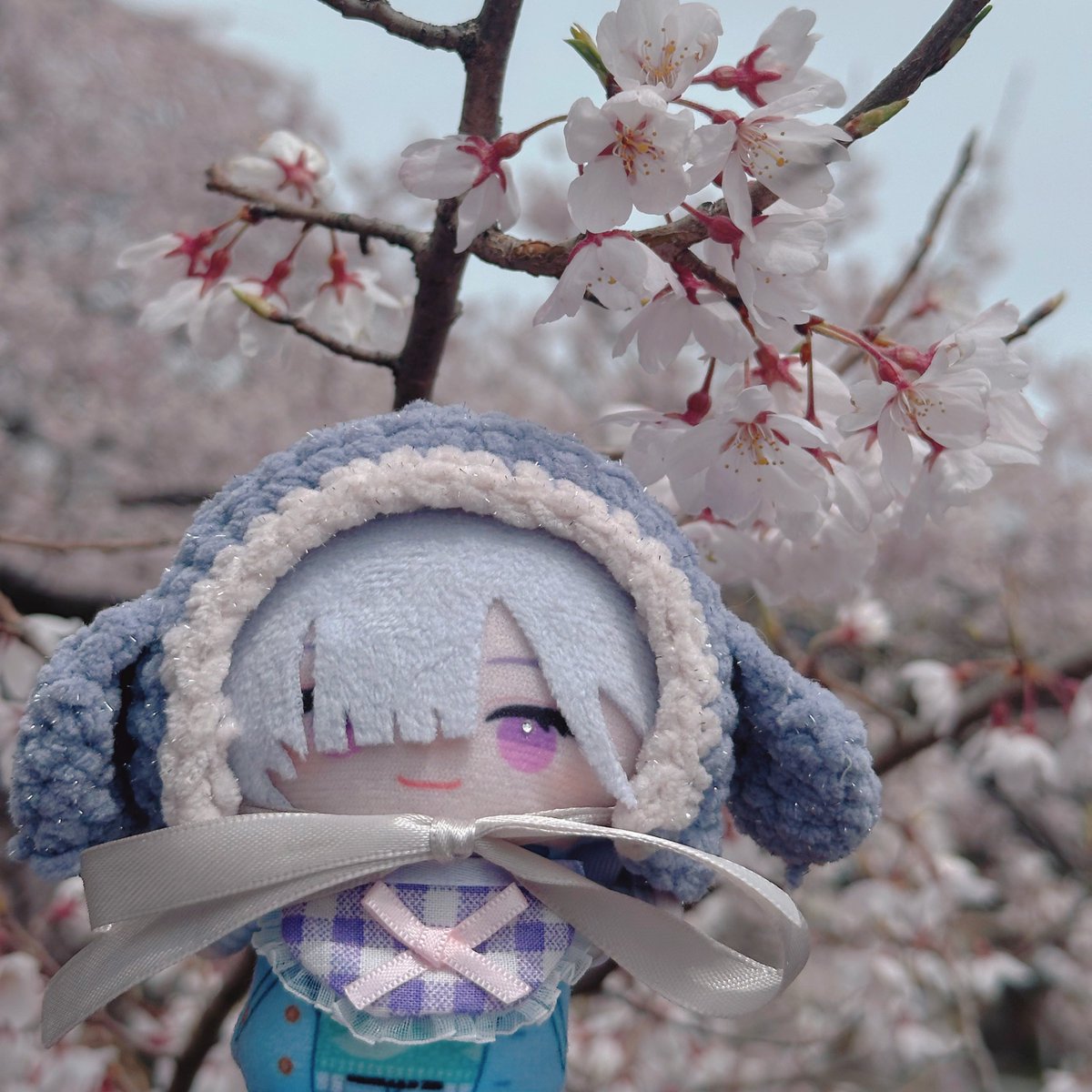 じゃすちゃ tweet media