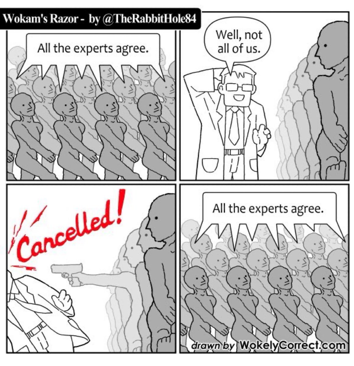 The Rabbit Hole tweet media