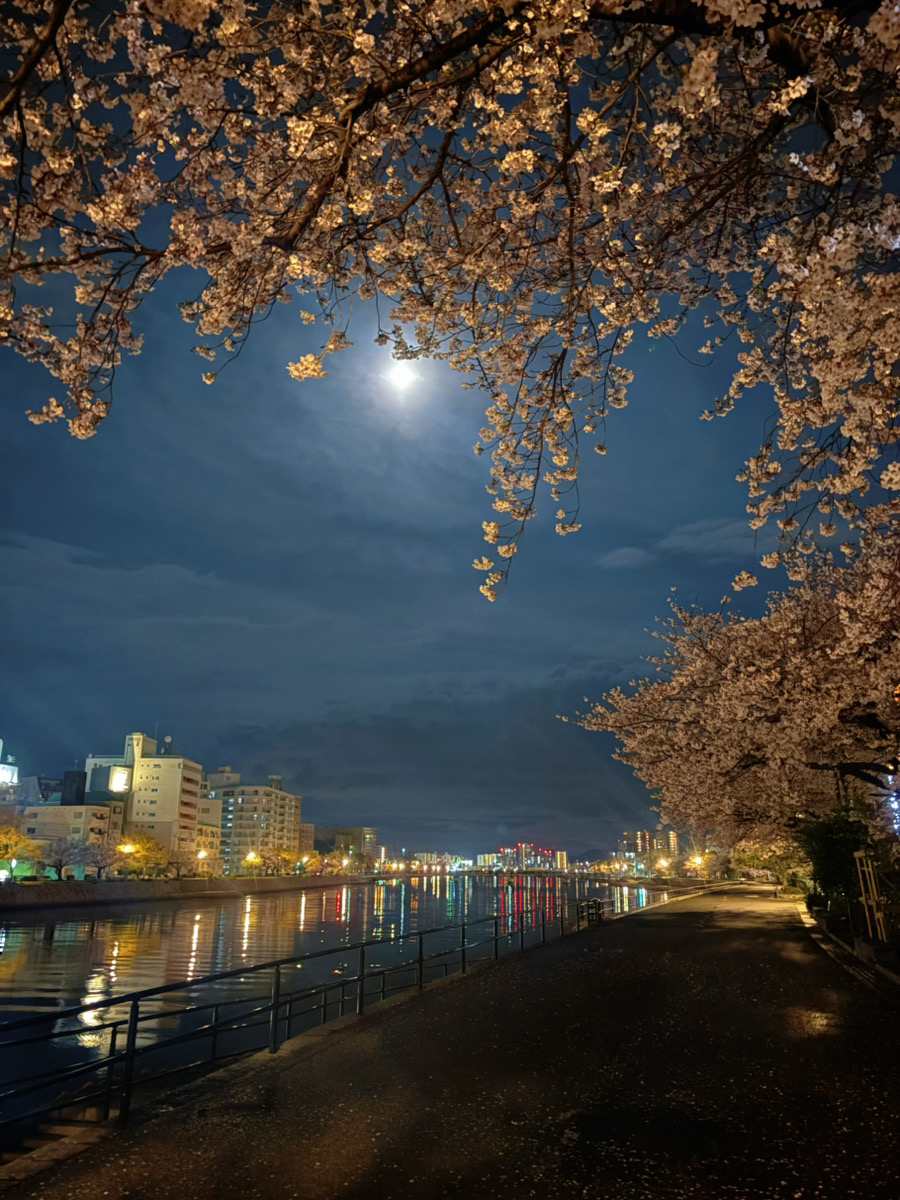 BODY+五日市店 tweet media