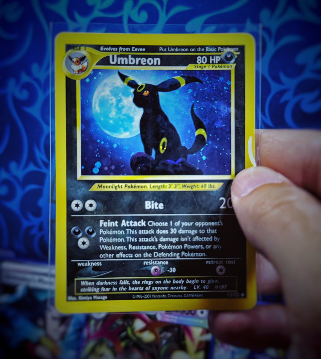 Chris Adams tweet media