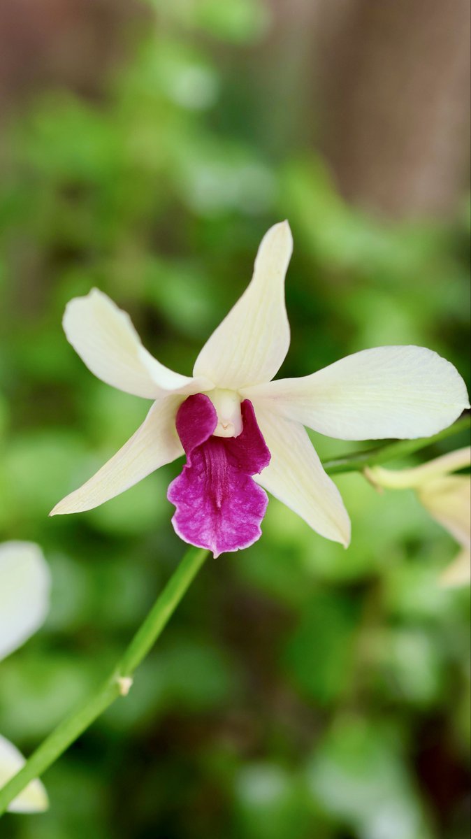 itsme_krrishm's tweet image. Sometimes a change of perspective is all it takes to see the light. - Dan Brown

#HappyMonday
#KrrishClick