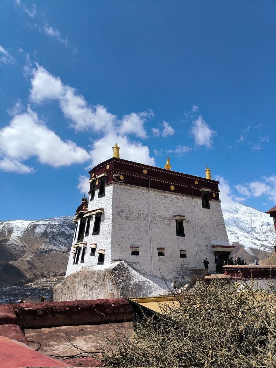 漠然 （互fo） tweet media