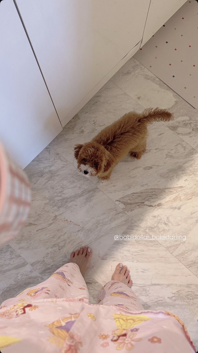 JUNE NANNIRIN OFFICIAL tweet media