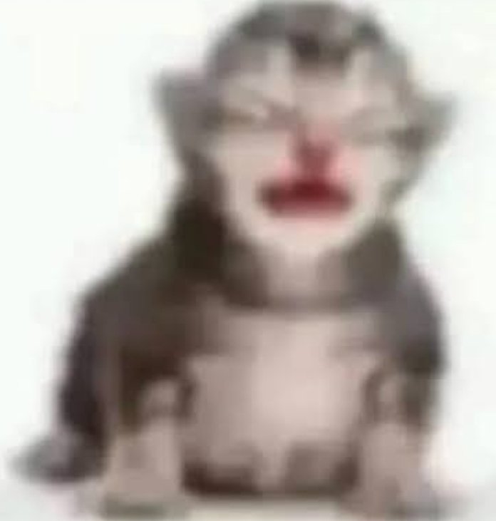 Demian~★ tweet media