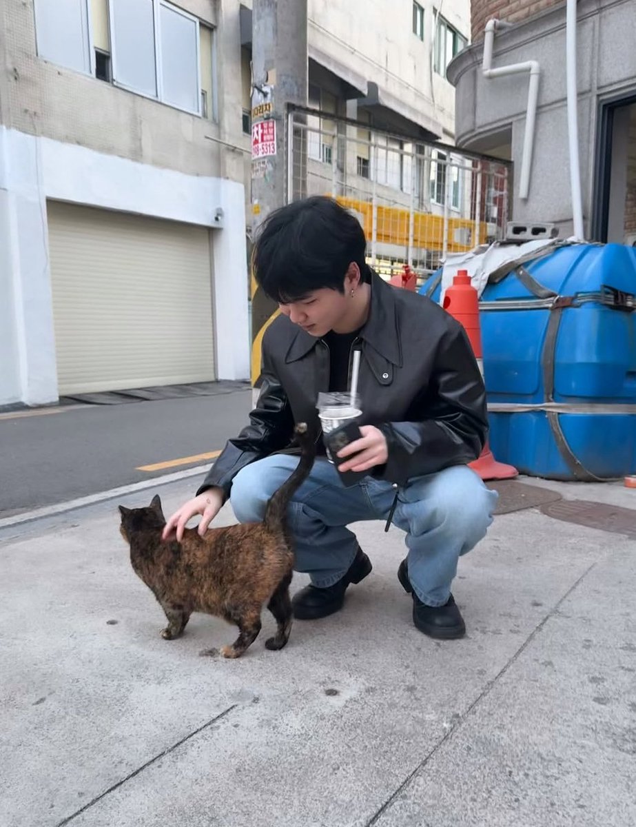 The Poles (더 폴스) ★ tweet media