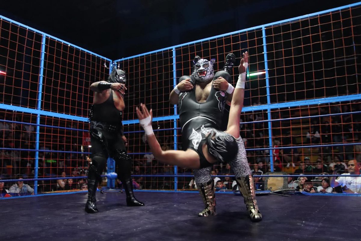 LaTijeraLucha's tweet photo. Arranca “Face To Face” de la #ArenaNeza con un triunfo aplastante de #Byakko al dejar en la jaula metálica a #Guadaña, previamente habían librado la reja #Telkin, #DeathMagic, DarkLudgia, DragonSupremo, PrincipeAslan, EstrellaDePlataJr y Acustico, haciendo vibrar al respetable... https://t.co/DSZI7oD1Gc
