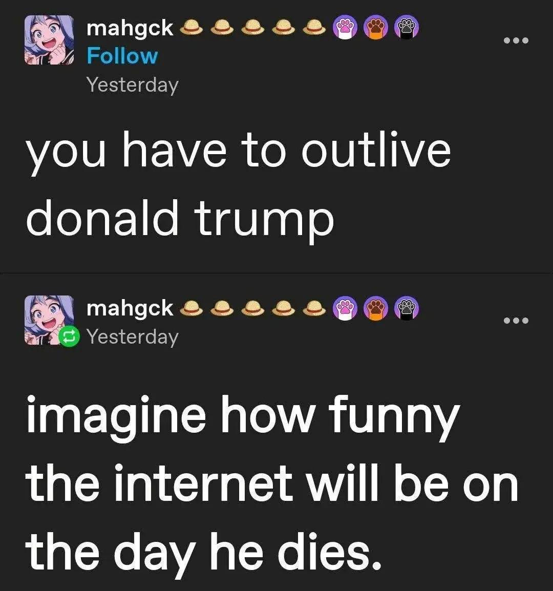 WillowTheFoxΘΔ🏳️‍⚧️🐾Pawbz are cute!🐾 tweet media