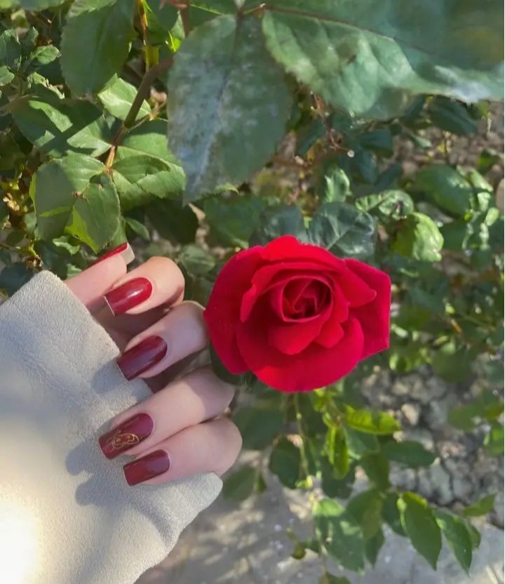 جيهان أحمد tweet media