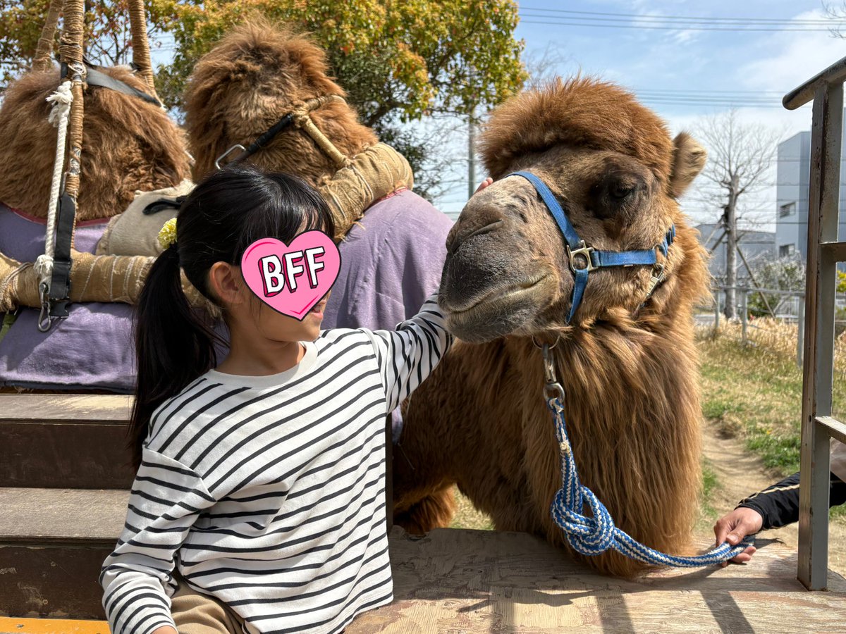 Leonore Overture No.3 tweet media