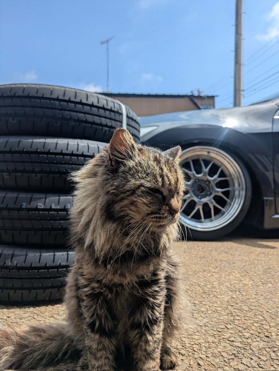 ﾎﾟﾛﾊ tweet media