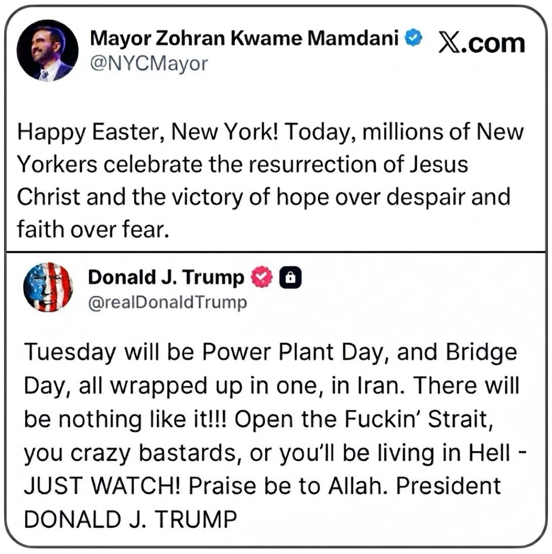 Ali A. Rizvi 🇨🇦 tweet media