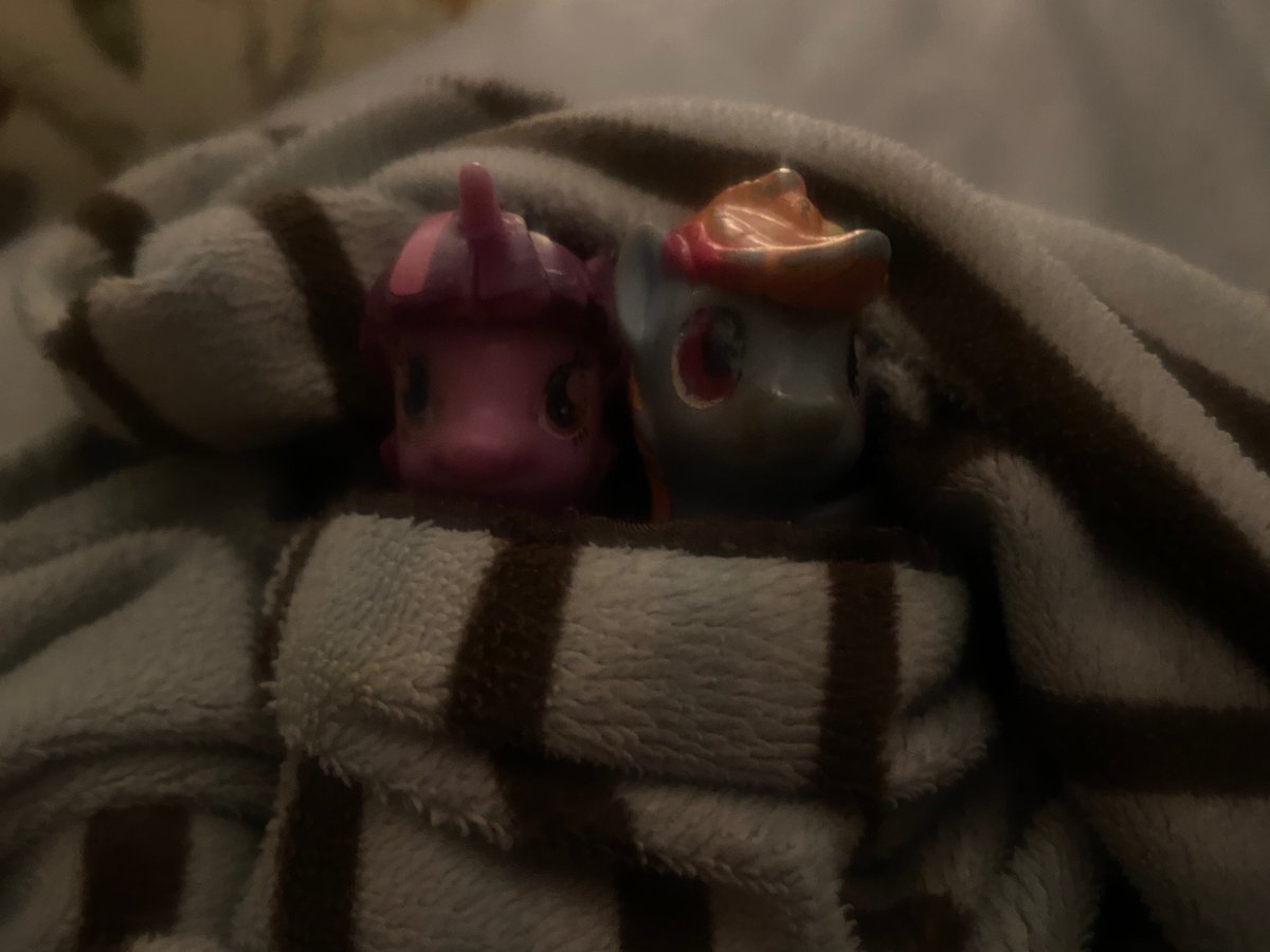 Rainbow Dash Photos tweet media