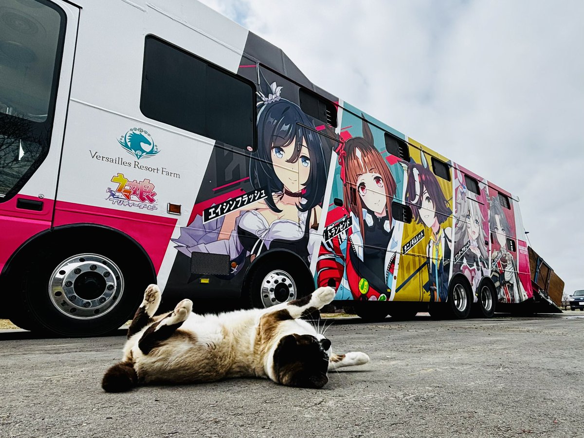 おーた部長👨‍🌾Yogibo ヴェルサイユリゾートファーム STAFF🌹 tweet media