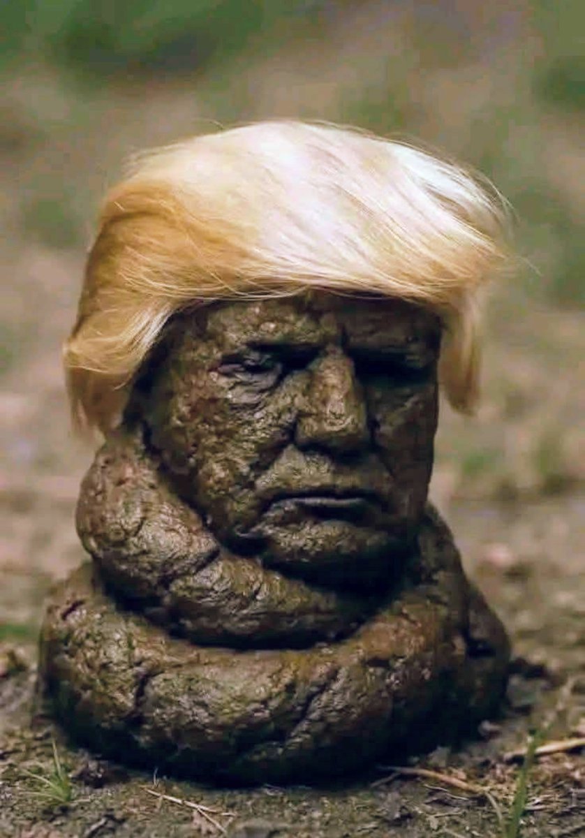 Lorraine Hopkins tweet media