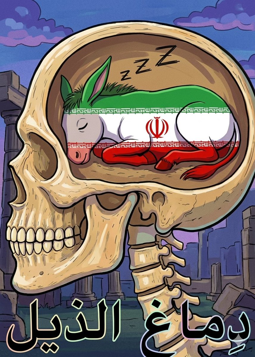 Champio91488266's tweet photo. @asmashirazi https://t.co/KGvY7gEIfo