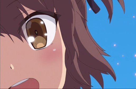 シェル tweet media