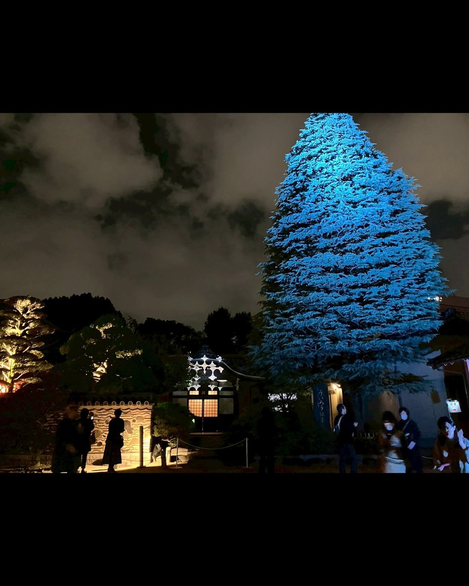 博多旧市街ライトアップウォーク 千年煌夜 tweet media