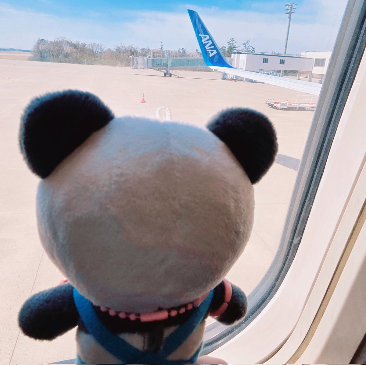 おはな tweet media