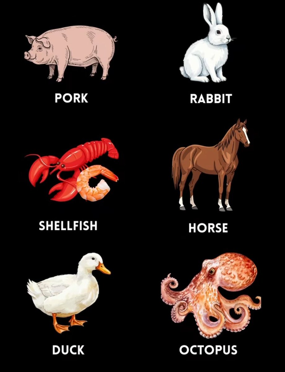 Life Truth Way tweet media