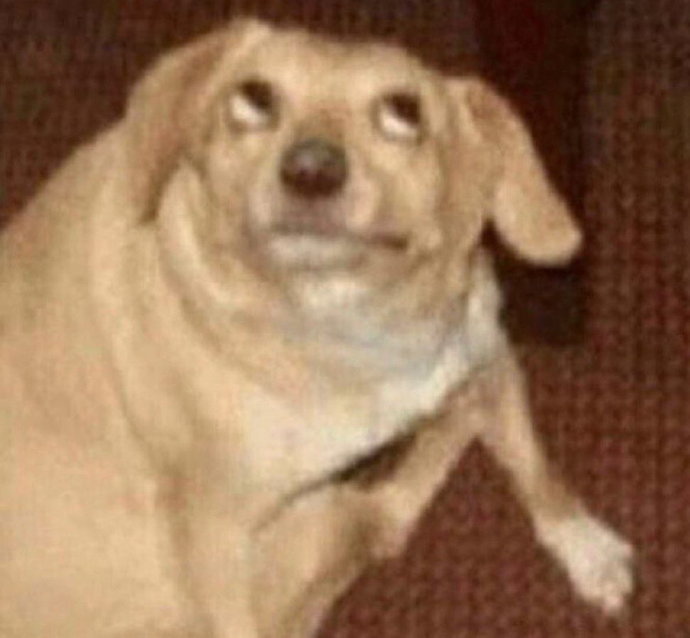 cracrecricrocru tweet media