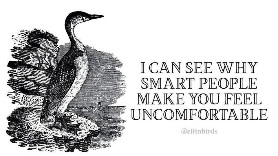 I Could Not Care Less What You Think 🖕🏻 tweet media