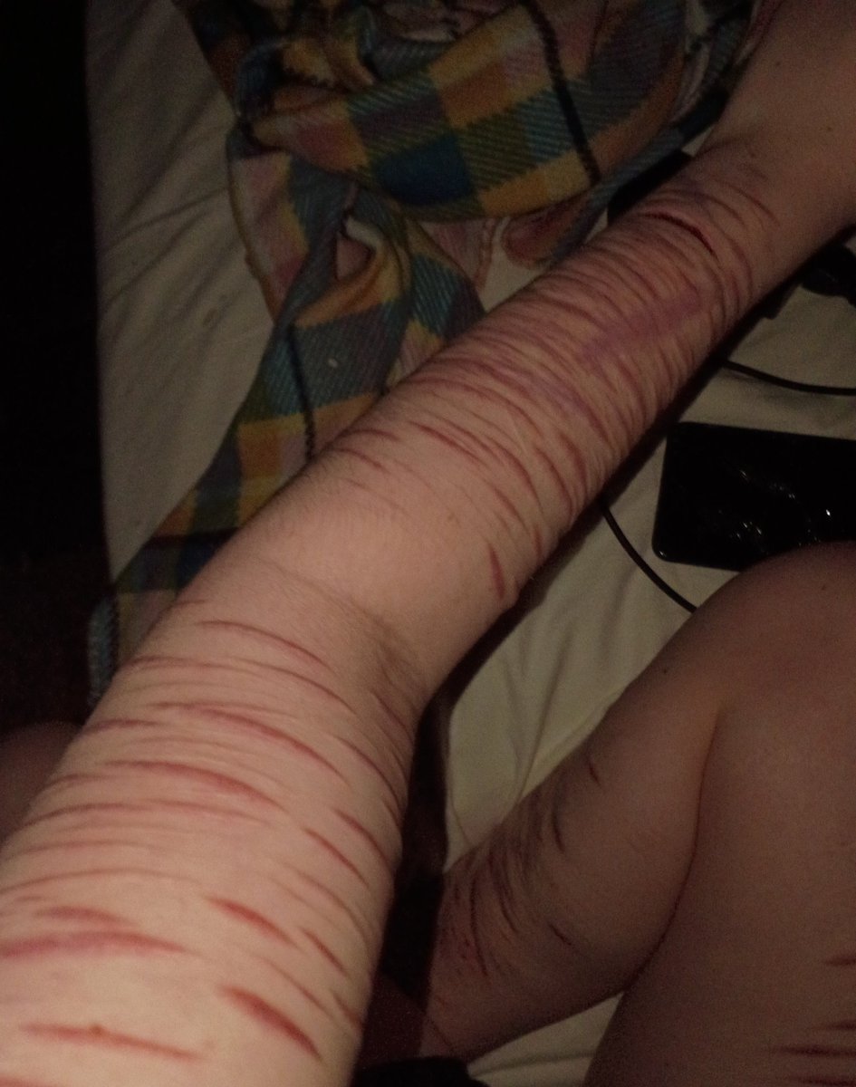 emily of shedtwt tweet media