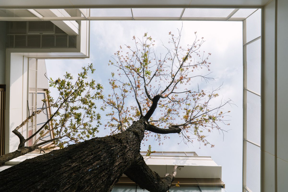 JViltrox5192's tweet photo. AF 16mm F1.8 L は、大胆な超広角性能と、すべてのクリエイティブセッションを高める頑丈でプレミアムなビルドを組み合わせています。📸✨
Credit to @野比同学
#viltrox #viltroxlens #photography #ViltroxLMount
#LMount #LMountAlliance #Lmountlens #photographygear #cameragear #cameralens #Leica
#Leicacamera #LeicaL #PanasonicL #SigmaL #lumix