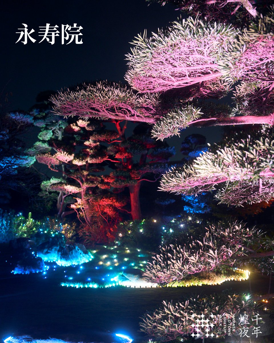 hakatalightup's tweet photo. 博多旧市街ライトアップウォーク2025振り返りpart9

永寿院
【照明演出】
カラーキネクティクスジャパン株式会社
ｎon-classic株式会社 https://t.co/JAxlKO0iPs