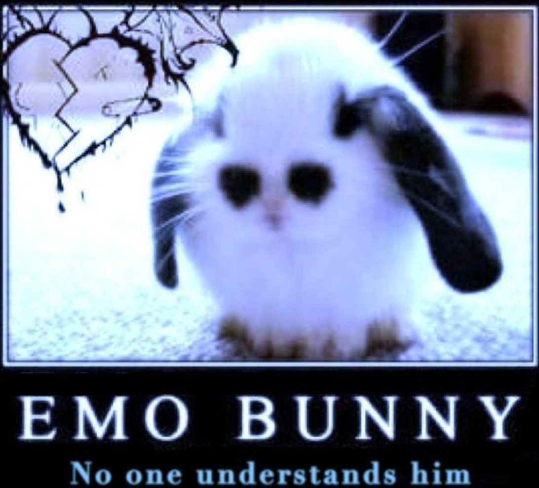 불법스피너개조단 tweet media