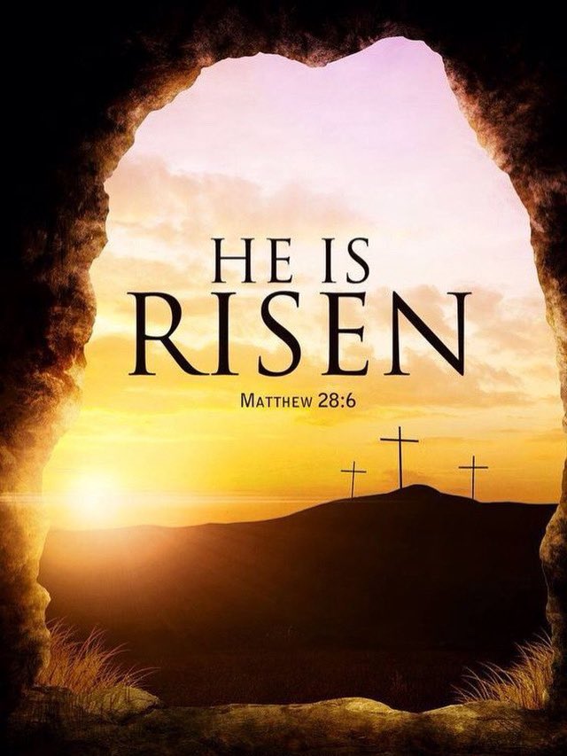 LUTHERAN HIGH NORTHEAST FOOTBALL tweet media